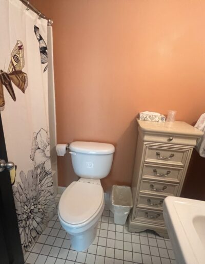 IMG 1909